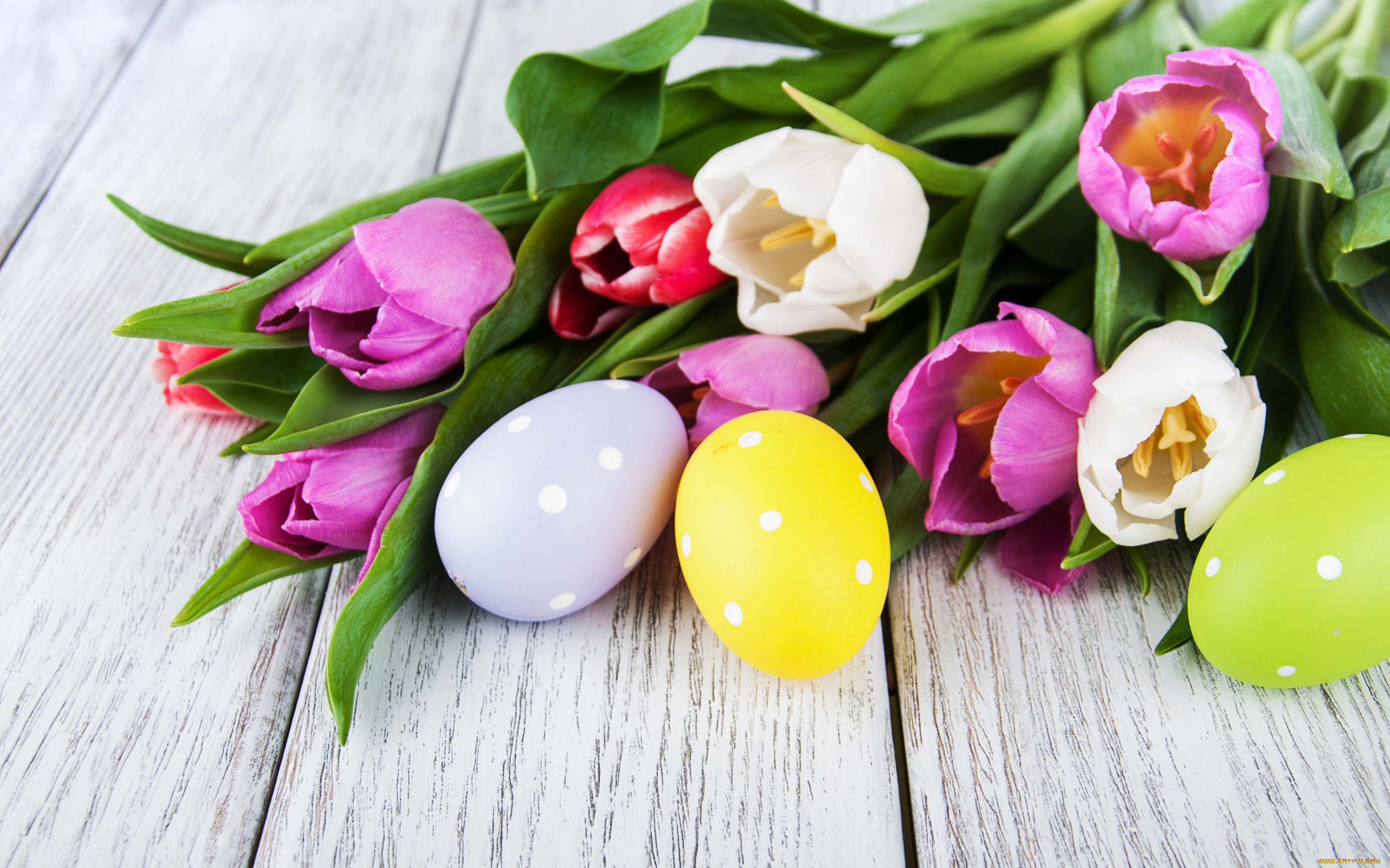 , , , , colorful, , happy, wood, pink, flowers, tulips, easter, purple, eggs, decoration